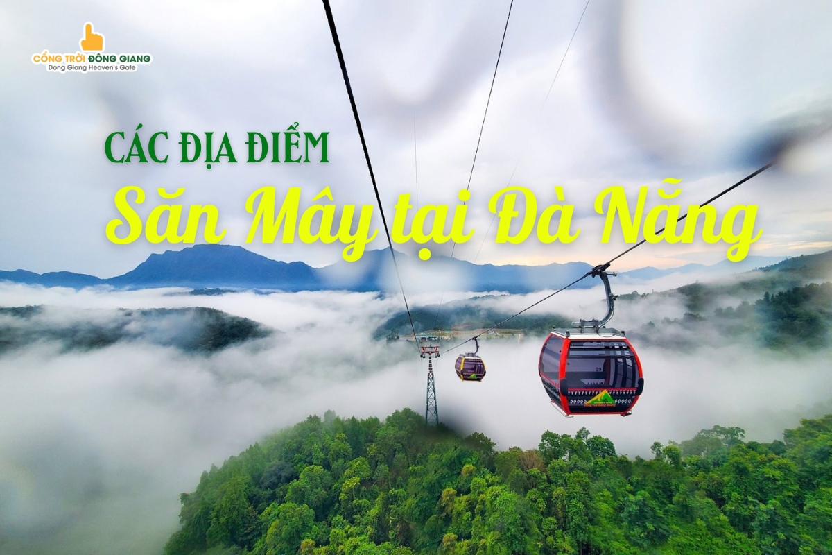 Săn Mây Đà Nẵng: Top 6 Điểm Săn Mây Đẹp Tựa Chốn Bồng Lai