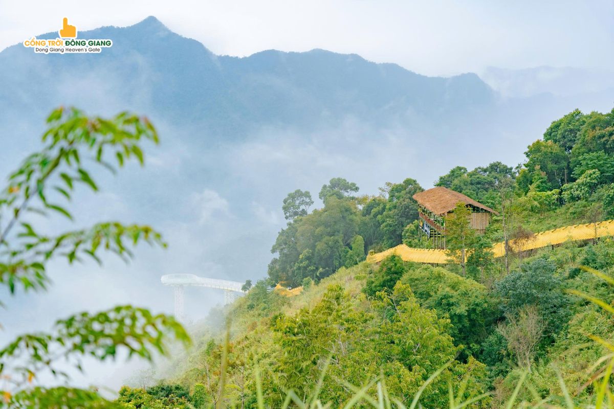dia-diem-ngam-binh-minh-tai-da-nang-14