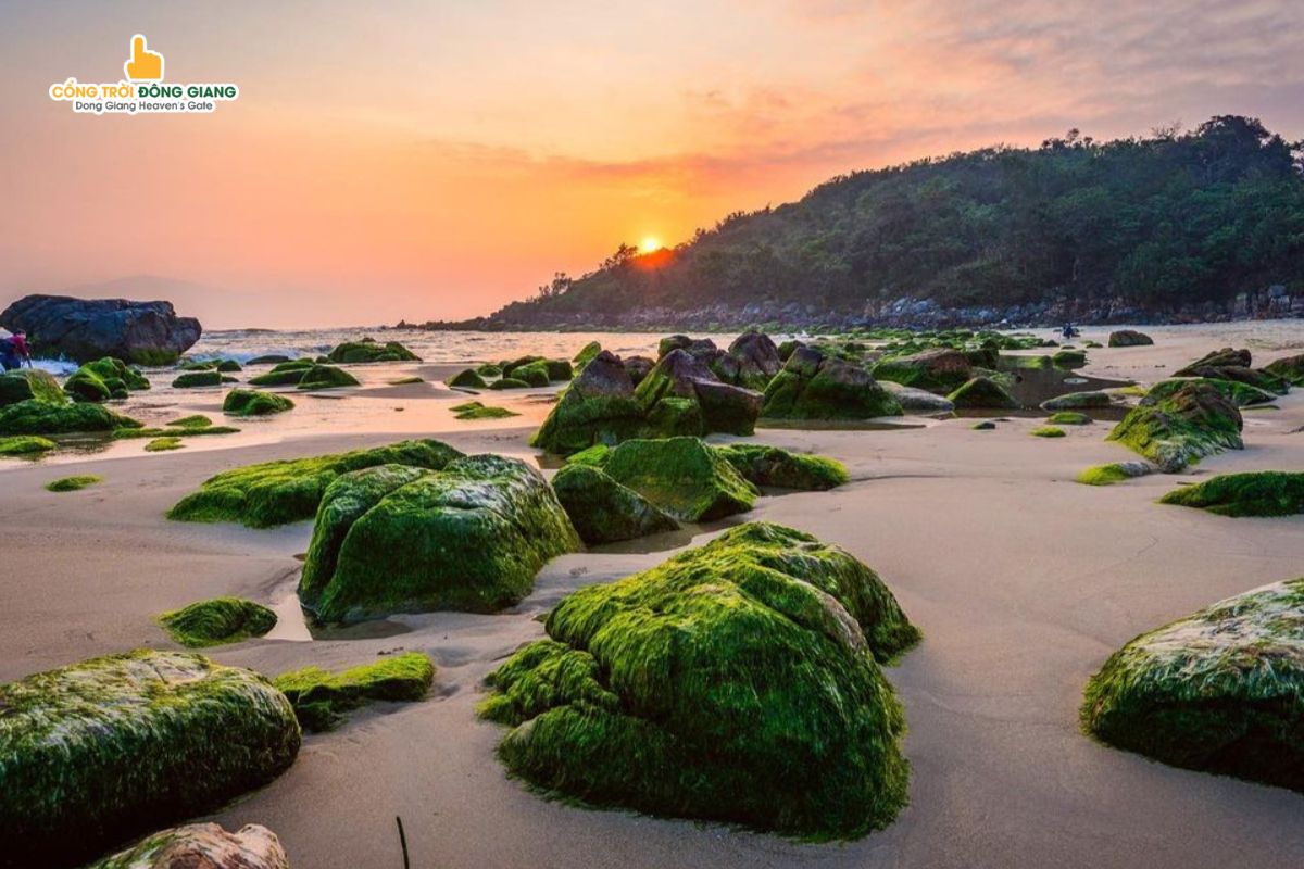 Ngắm Bình Minh Tại Đà Nẵng: Top 10 Tọa Độ Đón Nắng Sớm Cực Đẹp