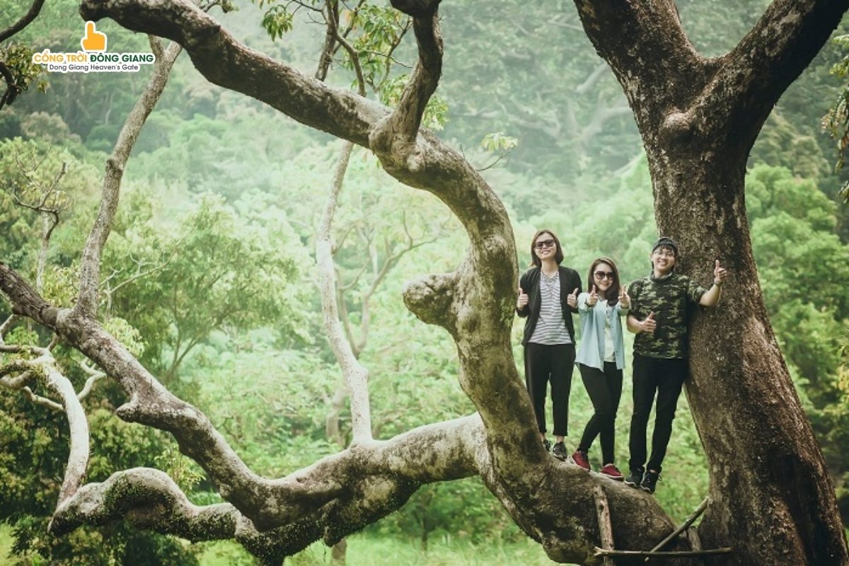 khu-du-lich-sinh-thai-da-nang-6
