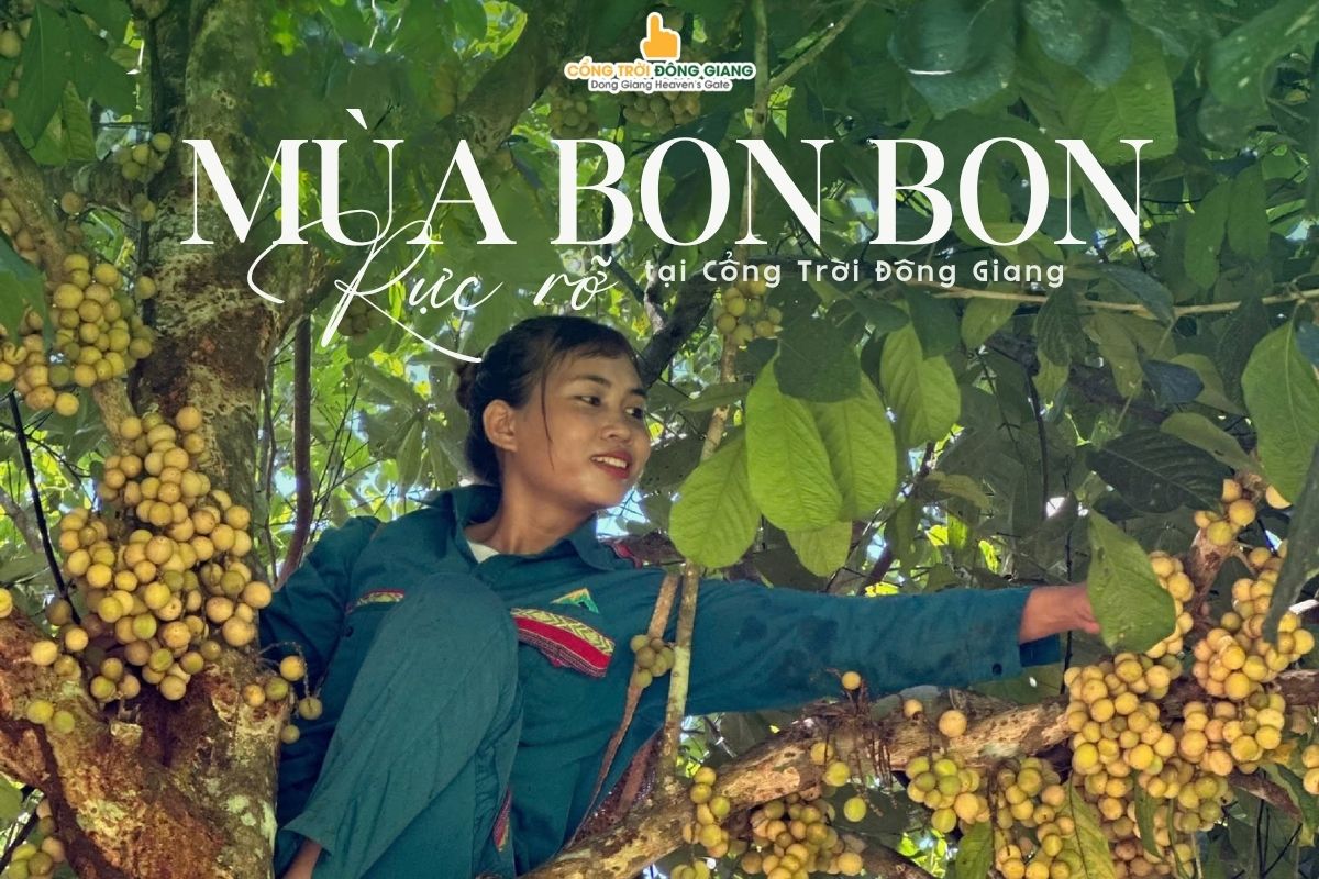 vuon-bon-bon-1