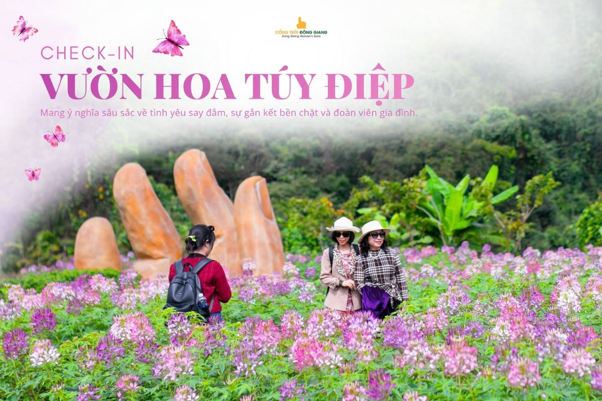 Vườn Hoa Túy Điệp Cổng Trời Đông Giang: Điểm Check-In Vườn Hoa Gần Đà Nẵng "Gây Sốt"