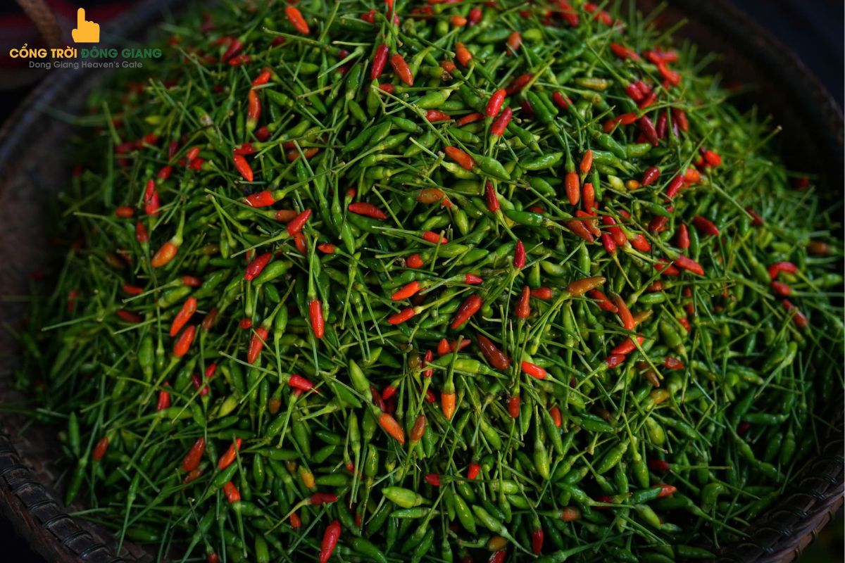 dac-san-dong-giang-2